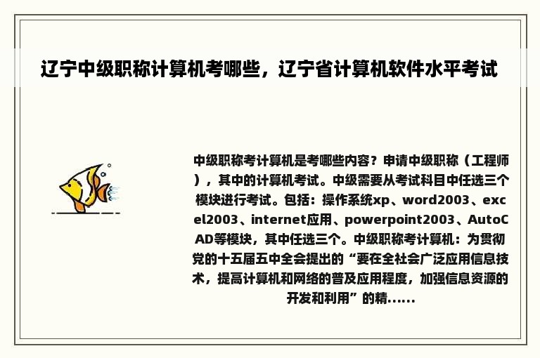 辽宁中级职称计算机考哪些，辽宁省计算机软件水平考试