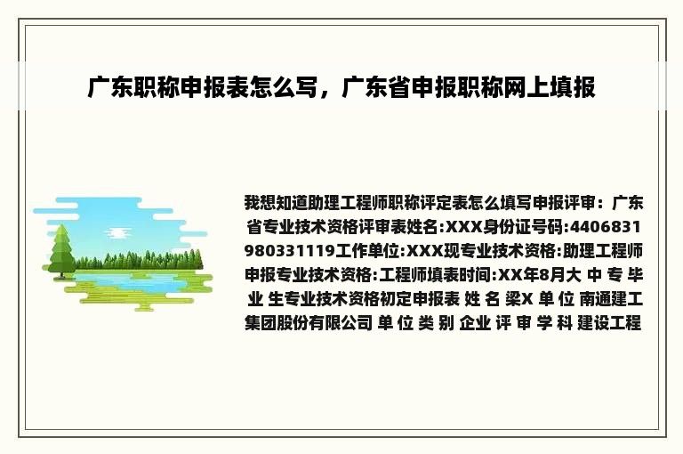 广东职称申报表怎么写，广东省申报职称网上填报