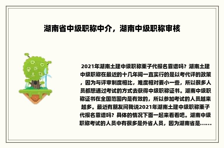 湖南省中级职称中介，湖南中级职称审核