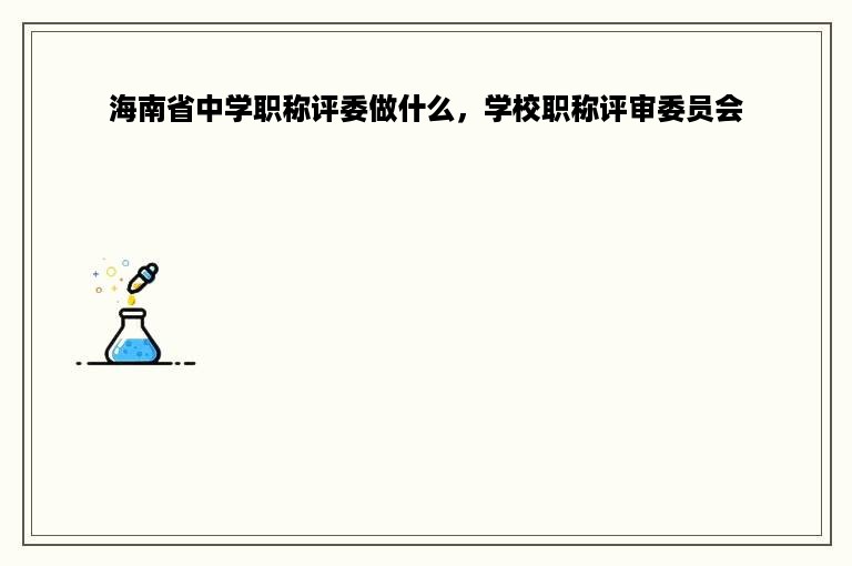 海南省中学职称评委做什么，学校职称评审委员会