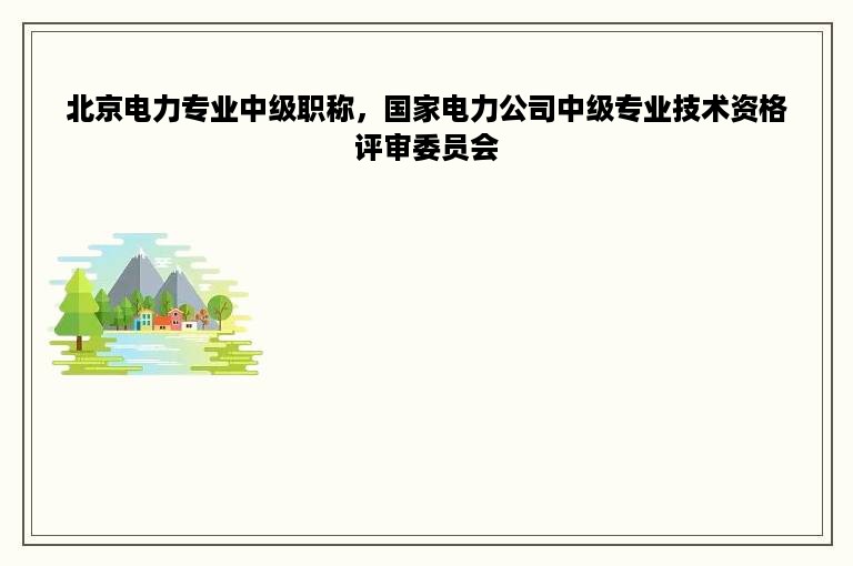 北京电力专业中级职称，国家电力公司中级专业技术资格评审委员会