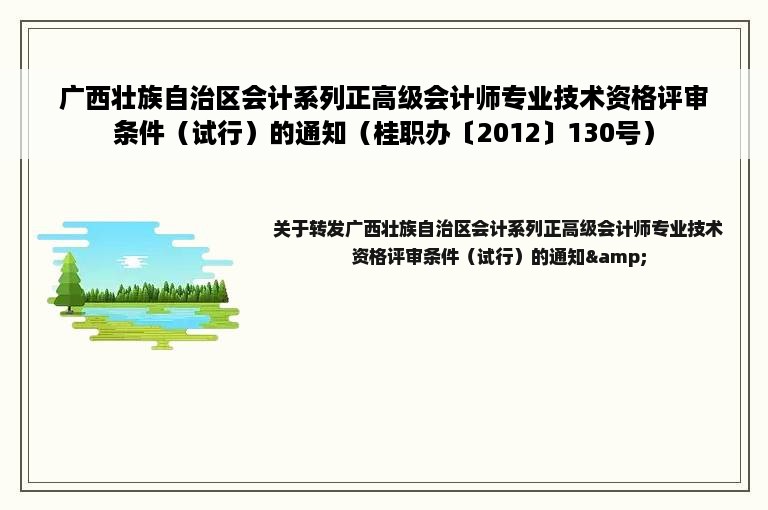 广西壮族自治区会计系列正高级会计师专业技术资格评审条件（试行）的通知（桂职办〔2012〕130号）