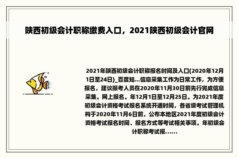 陕西初级会计职称缴费入口，2021陕西初级会计官网