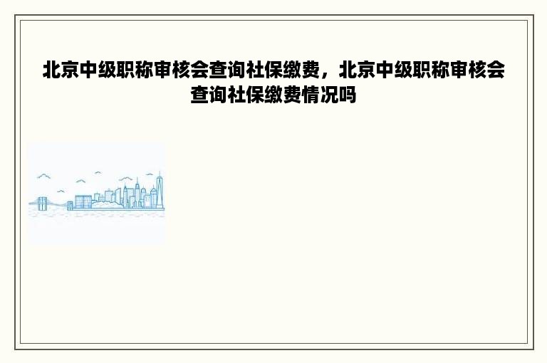 北京中级职称审核会查询社保缴费，北京中级职称审核会查询社保缴费情况吗