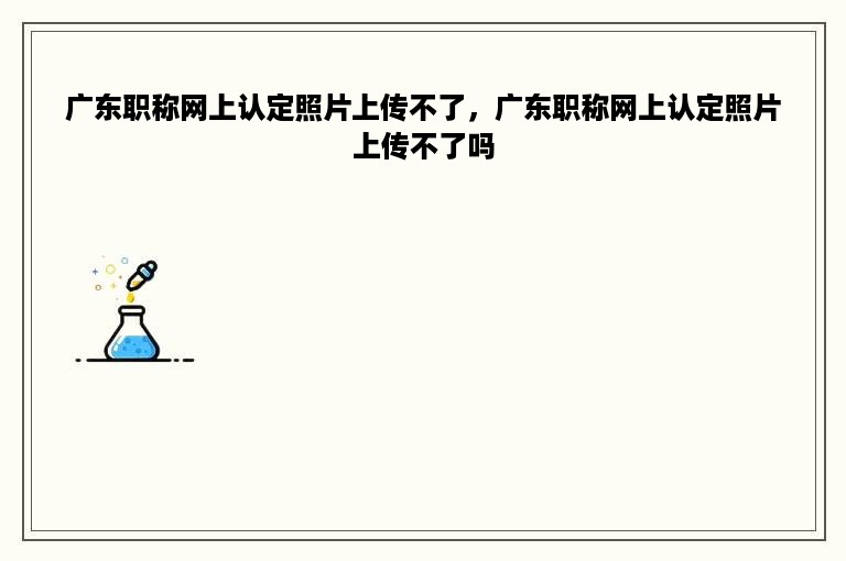 广东职称网上认定照片上传不了，广东职称网上认定照片上传不了吗