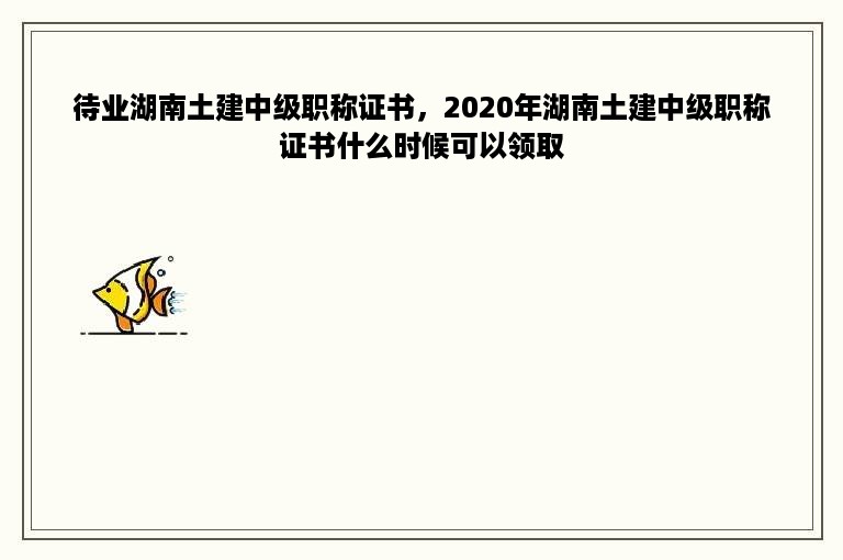 待业湖南土建中级职称证书，2020年湖南土建中级职称证书什么时候可以领取