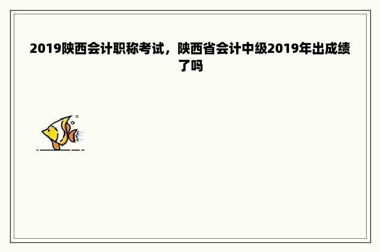 2019陕西会计职称考试，陕西省会计中级2019年出成绩了吗